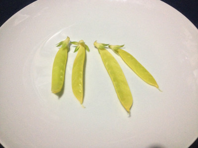 Four Golden Sweet mangetout pods on a white plate.
