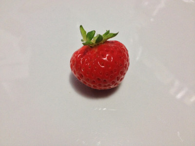 Virtually ripe Flamenco strawberry after running under water and dabbing dry with paper towel. This side of the berry was facing upwards during most of the ripening period, is a consistent colour, and all the seeds are red.
