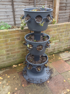 3-tier planter fully assembled and planted.